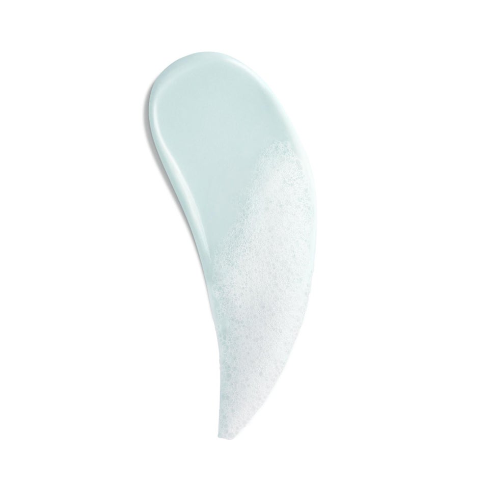 Biosource Purifying Foaming Cleanser