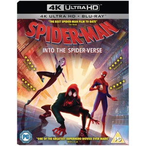 Spiderman Into The Spider Verse