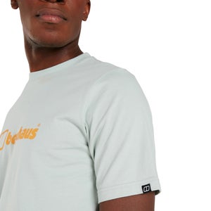 Men's Organic Big Color Logo T Shirt Grey