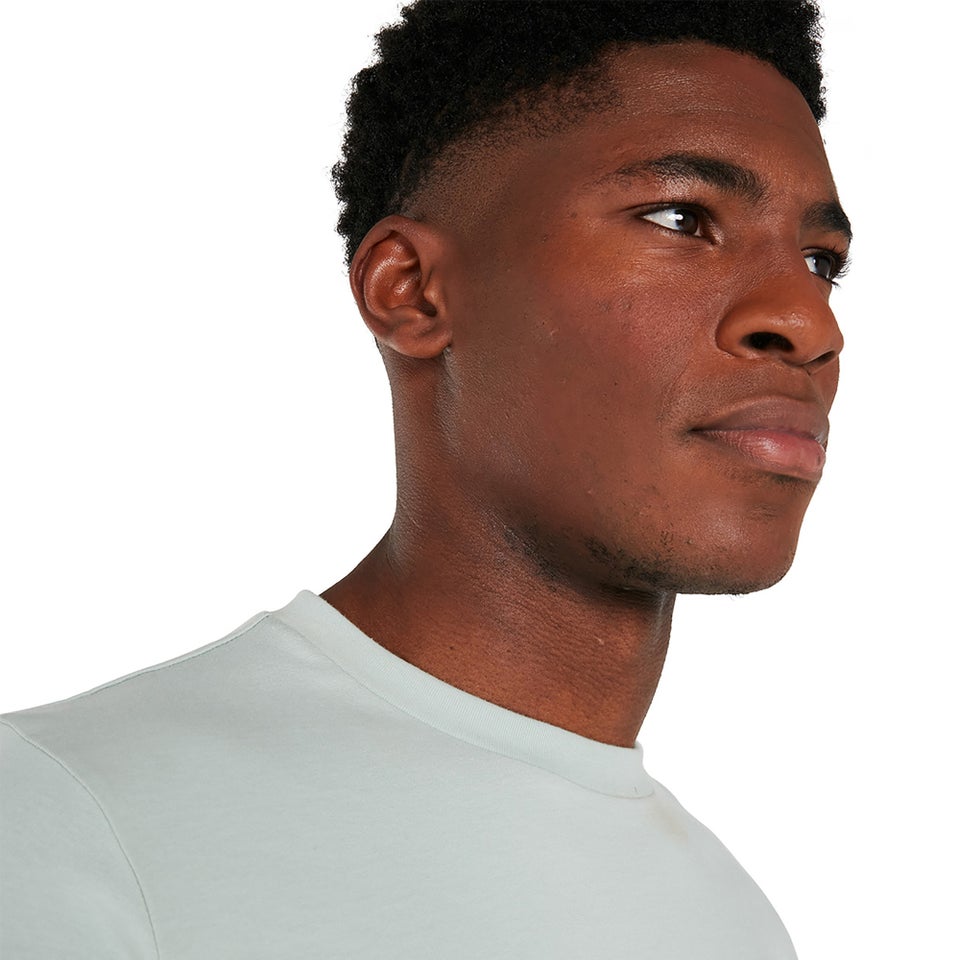 Men's Organic Big Color Logo T Shirt Grey