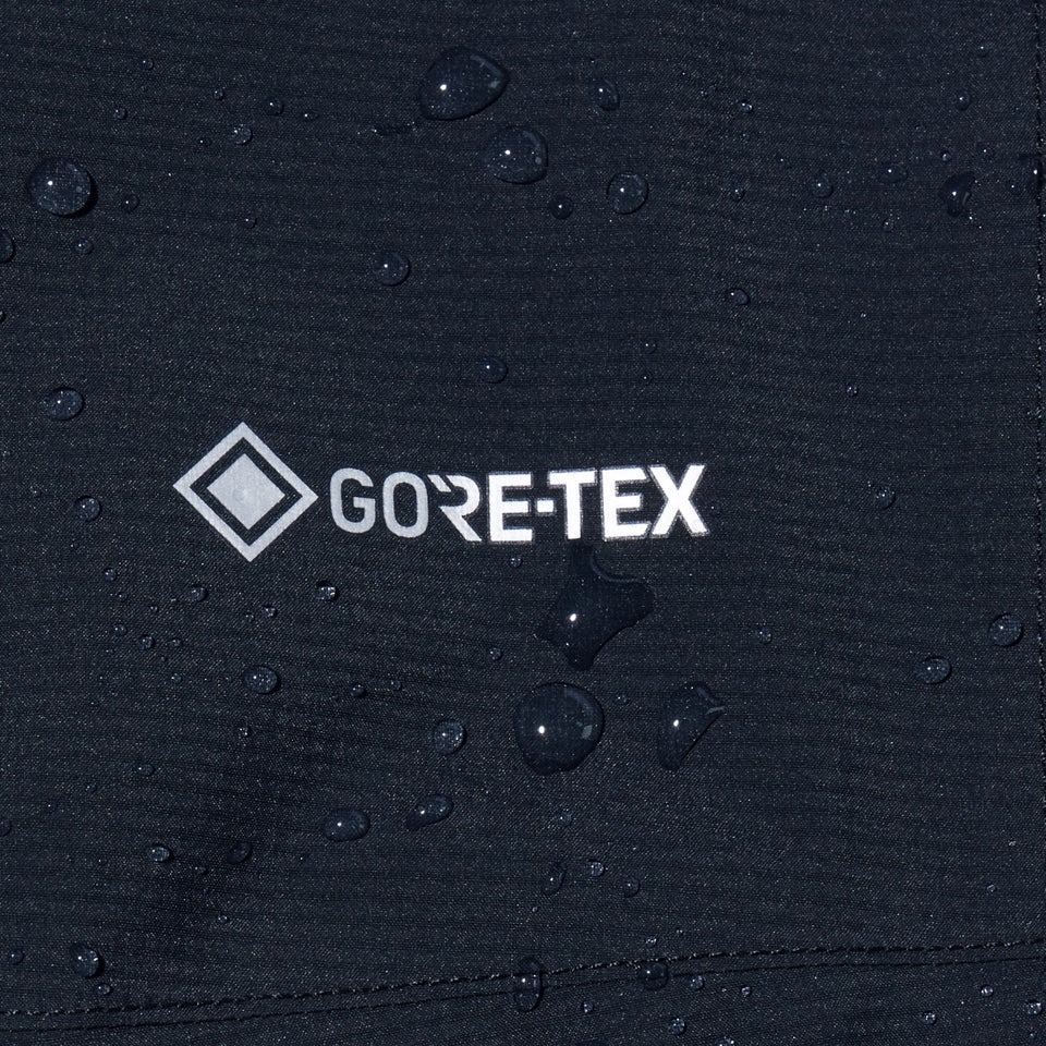 Men's Paclite Gore-Tex Pant - Black
