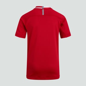 CANTERBURY VAPODRI EVADER HOOPED JERSEY JM RED/WHT