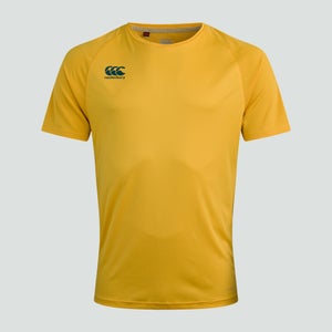 Mens Vapodri Superlight Solid Tee Yellow
