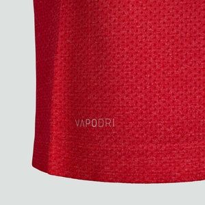 Mens British & Irish Lions Seamless Training Tee Red