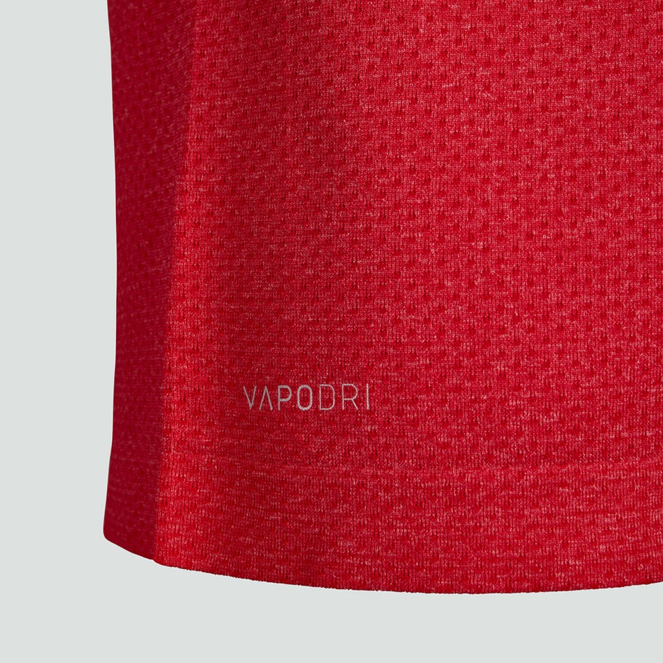 Mens British & Irish Lions Seamless Training Tee Red