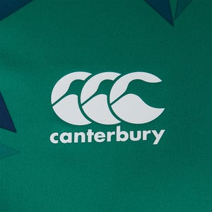 Mens British & Irish Lions Superlight Graphic Tee Green