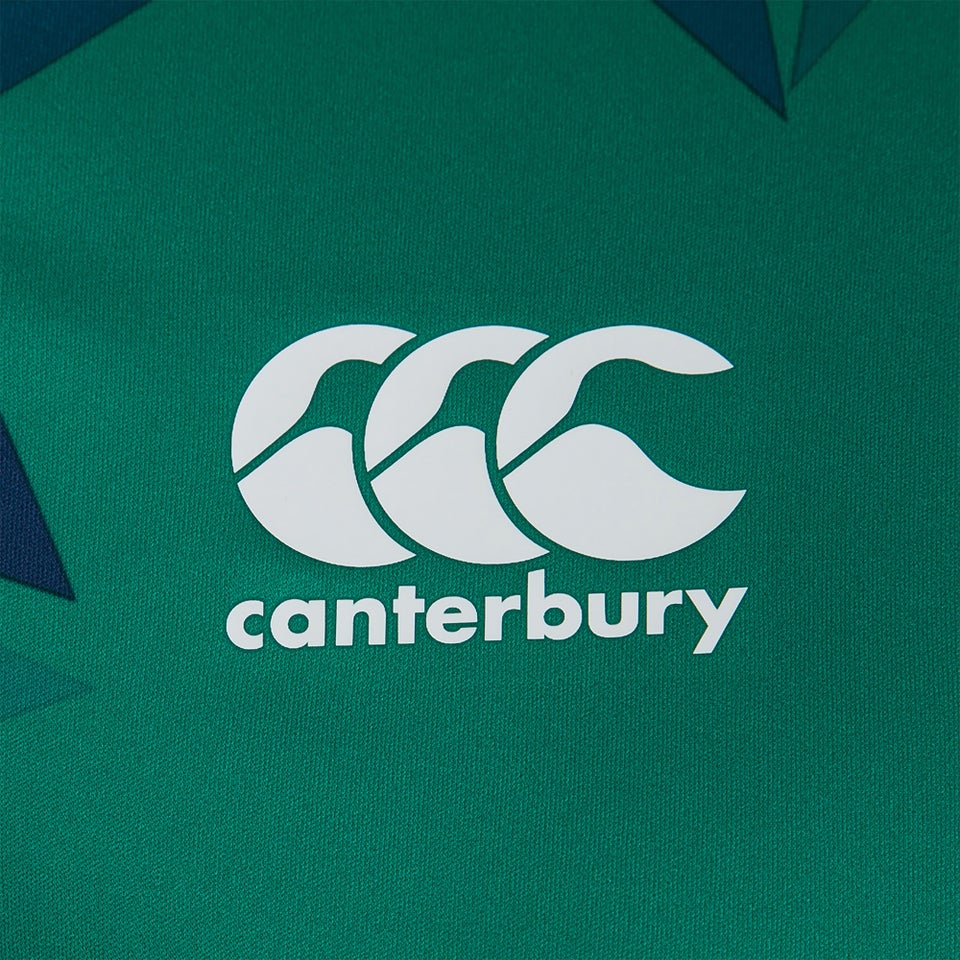 Mens British & Irish Lions Superlight Graphic Tee Green