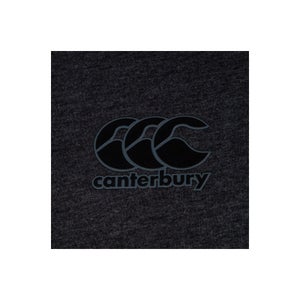 Mens British & Irish Lions Cotton Jersey Tee Grey