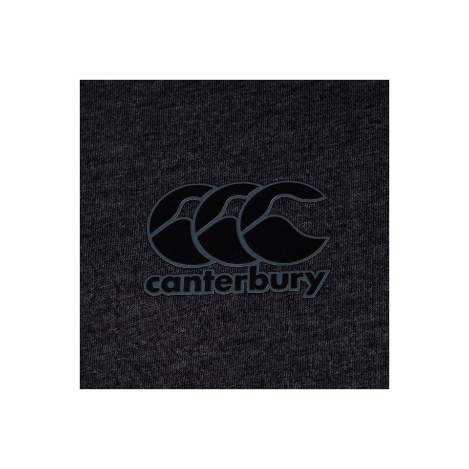 Mens British & Irish Lions Cotton Jersey Tee Grey