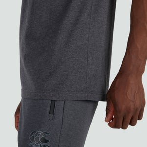 Mens British & Irish Lions Cotton Jersey Tee Grey