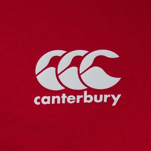 Mens British & Irish Lions Cotton Jersey Tee Red