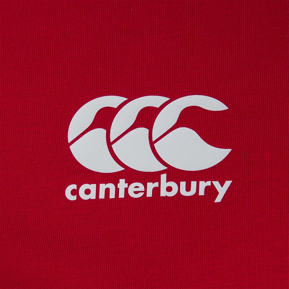 Mens British & Irish Lions Cotton Jersey Tee Red