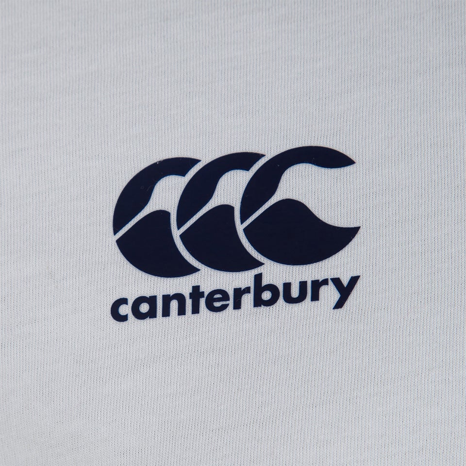 Mens British & Irish Lions Cotton Jersey Tee White