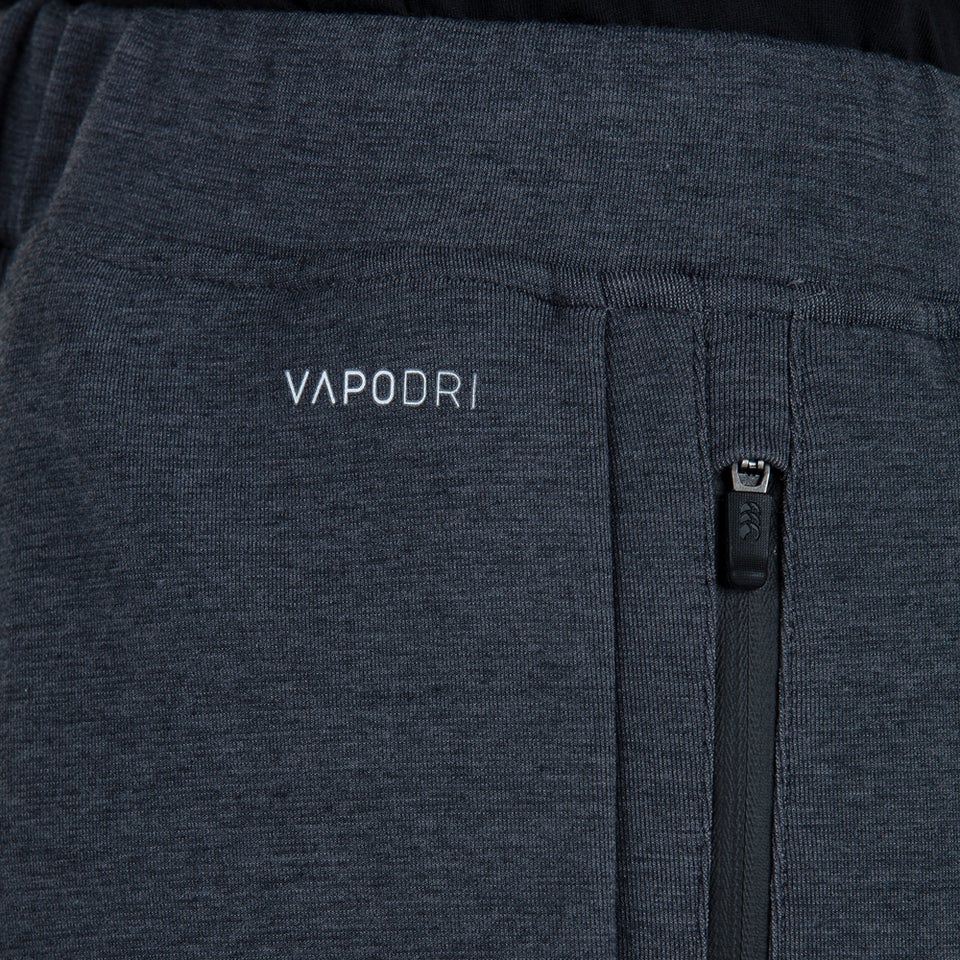 Mens British & Irish Lions Tech Pants Black