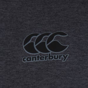 Mens British & Irish Lions Full Zip Tech Hoody Grey