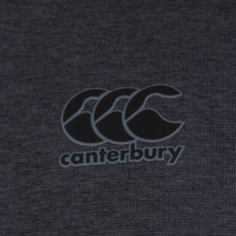 Mens British & Irish Lions Full Zip Tech Hoody Grey