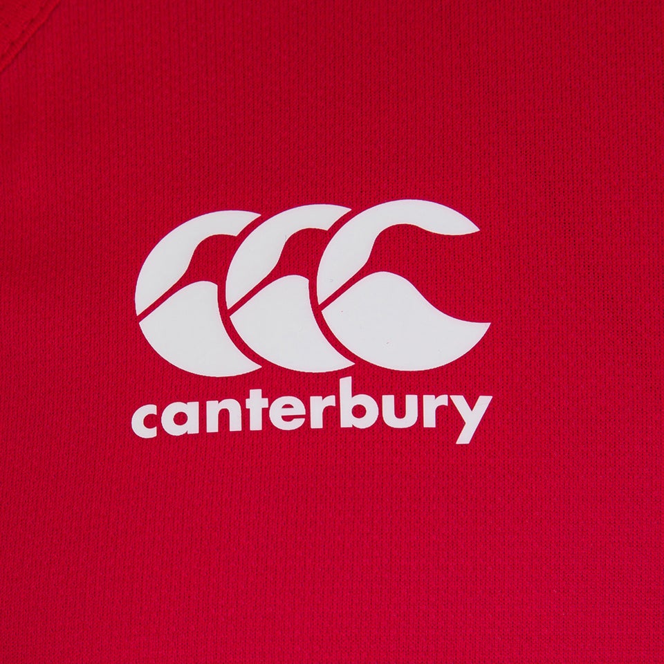 Mens British & Irish Lions Poly Singlet Red