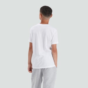 CANTERBURY CCC LOGO TEE JM WHITE