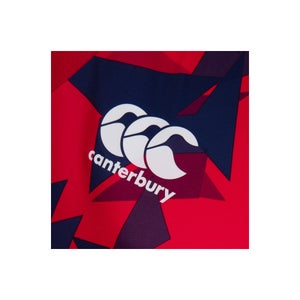 Junior Unisex British & Irish Lions Superlight Graphic Tee Red