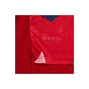 Junior Unisex British & Irish Lions Superlight Graphic Tee Red