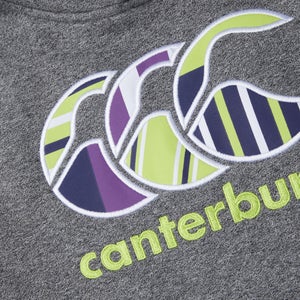 Junior Unisex CCC Uglies Hoody Grey