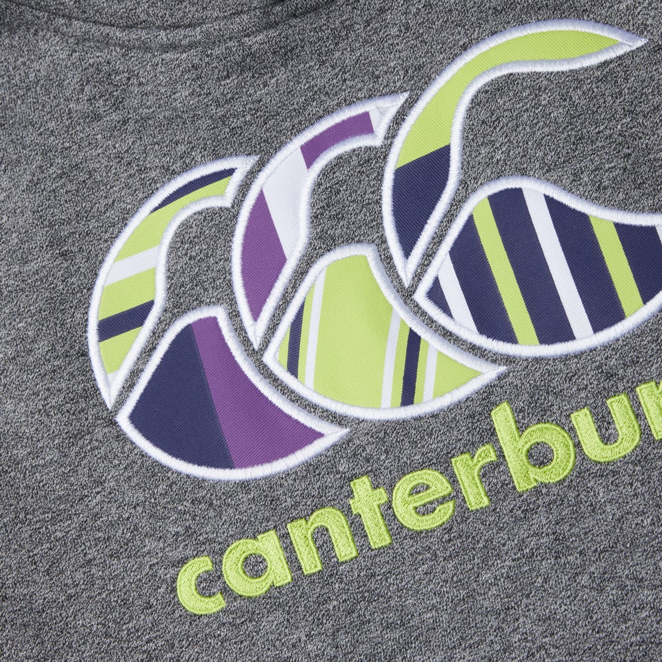 Junior Unisex CCC Uglies Hoody Grey