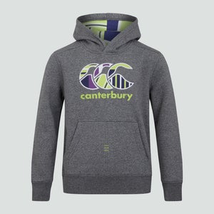 Junior Unisex CCC Uglies Hoody Grey