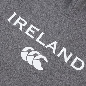 Mens Ireland Logo Hoody Grey
