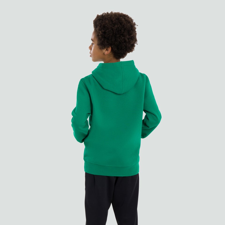 Junior Unisex Ireland Logo Hoody Green