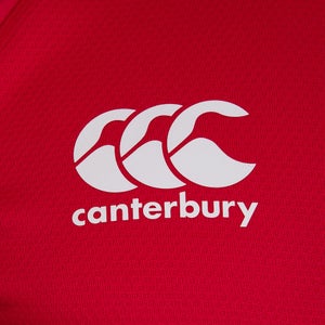 Mens British & Irish Lions Test Jersey Red