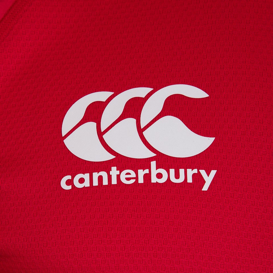 Mens British & Irish Lions Test Jersey Red