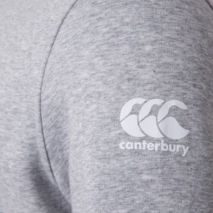 MENS BRITISH & IRISH LIONS GRAPHIC HOODY GREY - XS