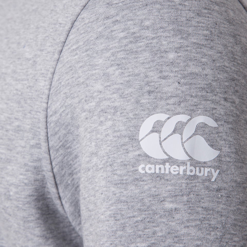 Mens British & Irish Lions Graphic Hoody Grey