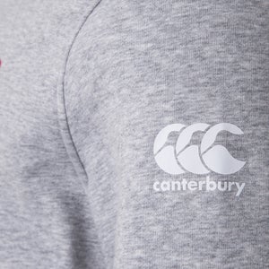 MENS BRITISH & IRISH LIONS GRAPHIC HOODY GREY - XS