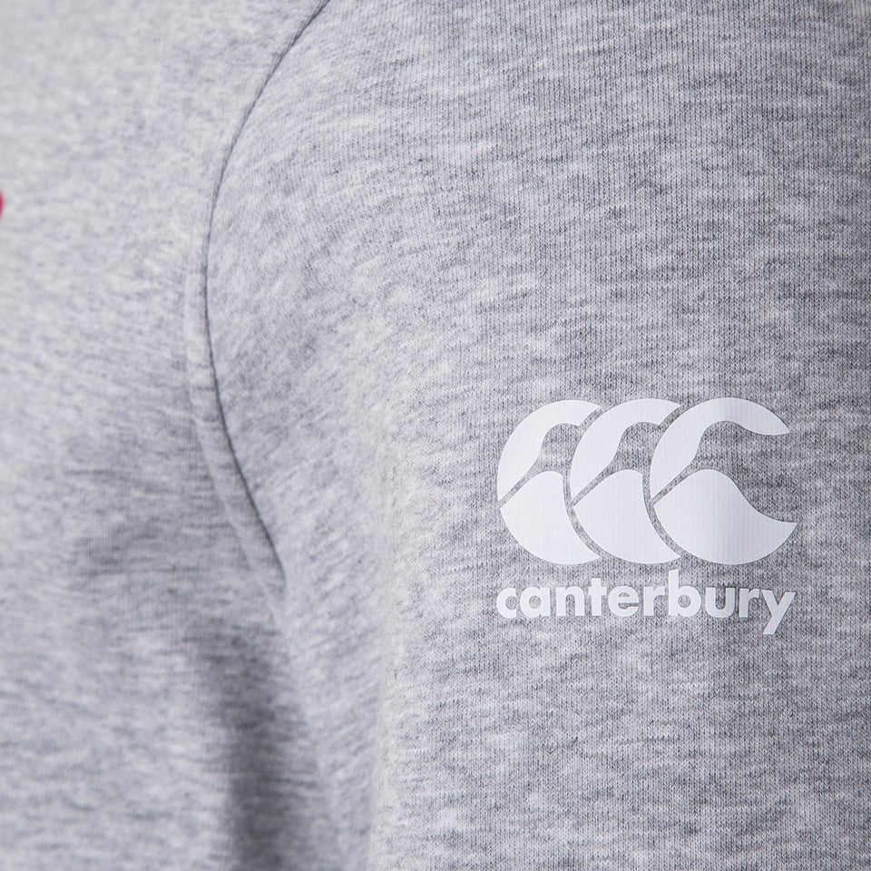 Mens British & Irish Lions Graphic Hoody Grey