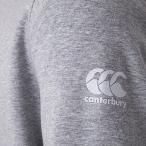 MENS BRITISH & IRISH LIONS SWEATSHIRT GREY - XS