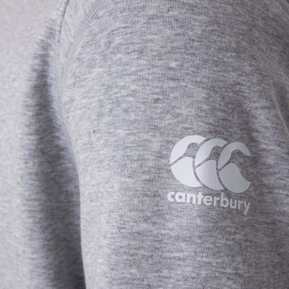 Mens British & Irish Lions Sweatshirt Grey