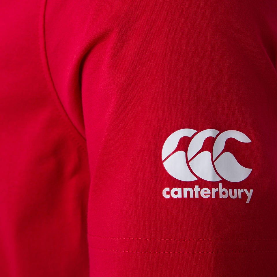 Mens British & Irish Lions Graphic Tee Red