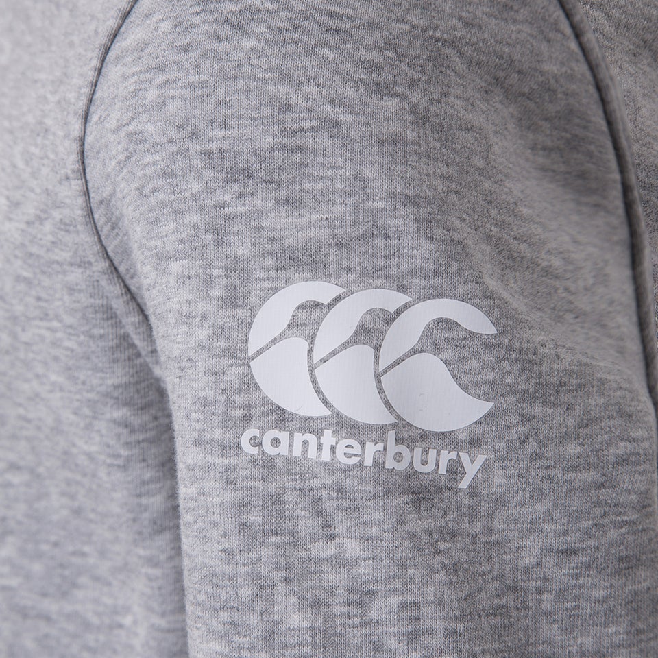 Junior Unisex British & Irish Lions Graphic Hoody Grey