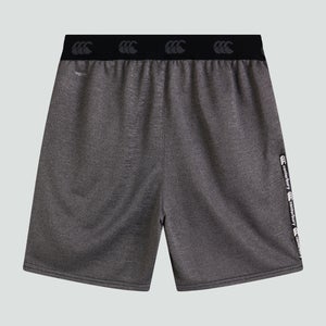 Mens Power 8 Inch Shorts Grey