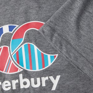 Junior Boys CCC Uglies Tee Grey