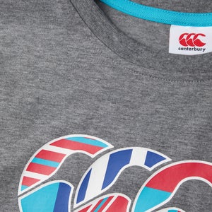 Junior Boys CCC Uglies Tee Grey