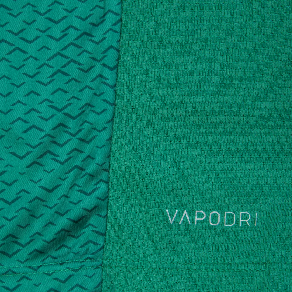 Junior Unisex Ireland Superlight Training Tee Green