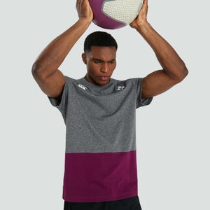 Mens Ireland Colour Block Tee Grey