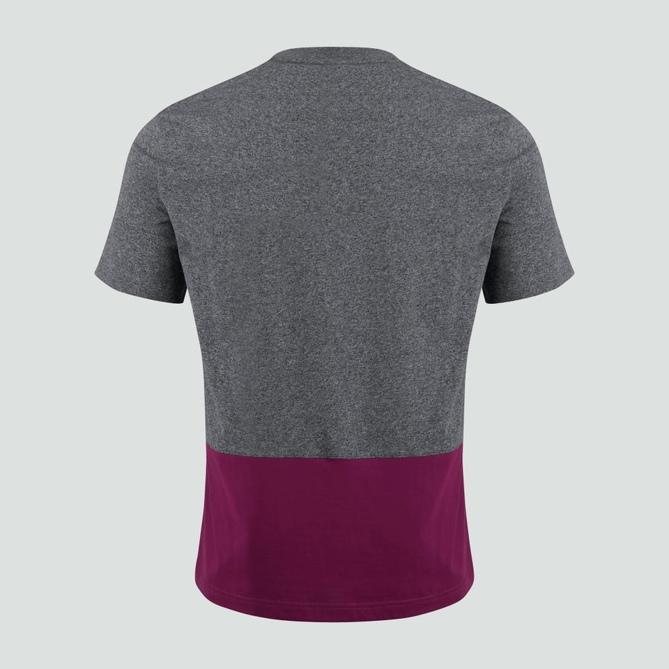 Mens Ireland Colour Block Tee Grey
