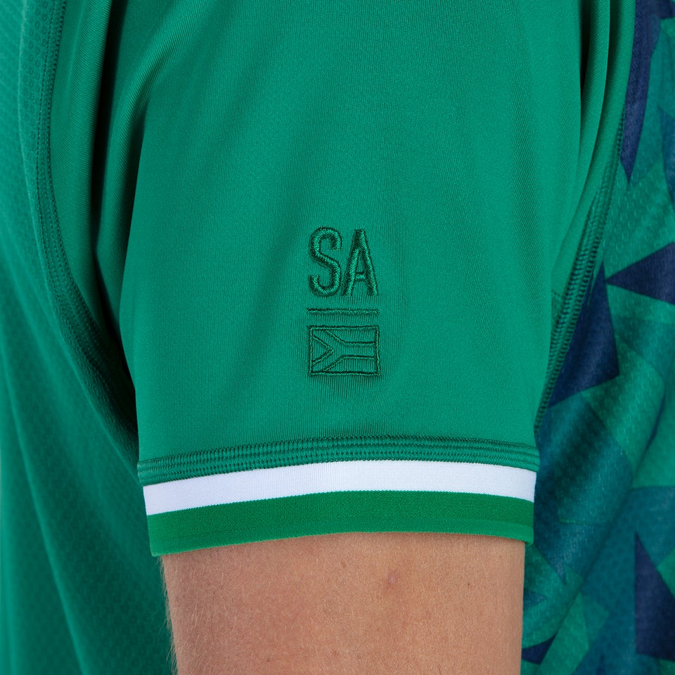 Mens British & Irish Lions Training Jersey Green