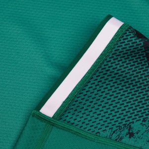 Mens Ireland Vapodri+ Home Test Jersey Green