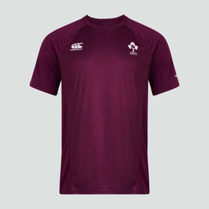 Mens Ireland Superlight Training Tee Purple
