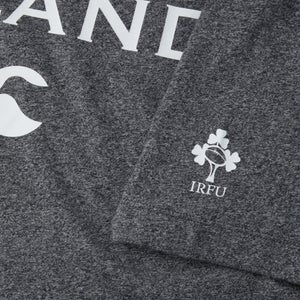 Mens Ireland Cotton Logo Tee Grey