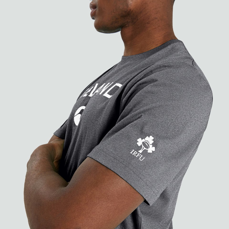 Mens Ireland Cotton Logo Tee Grey